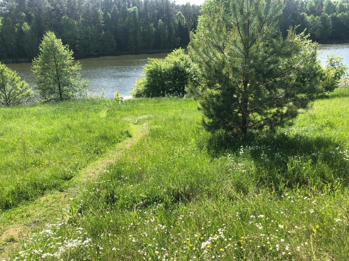 Za Piecem Villa Guzowy Piec Dış mekan fotoğraf
