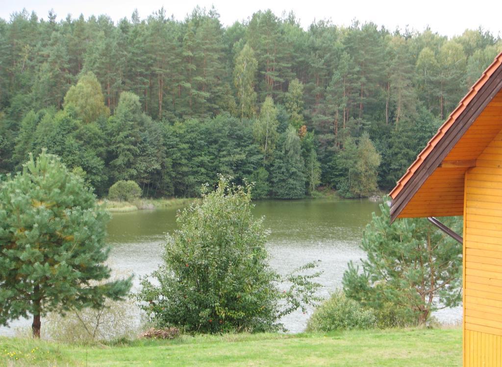 Za Piecem Villa Guzowy Piec Dış mekan fotoğraf