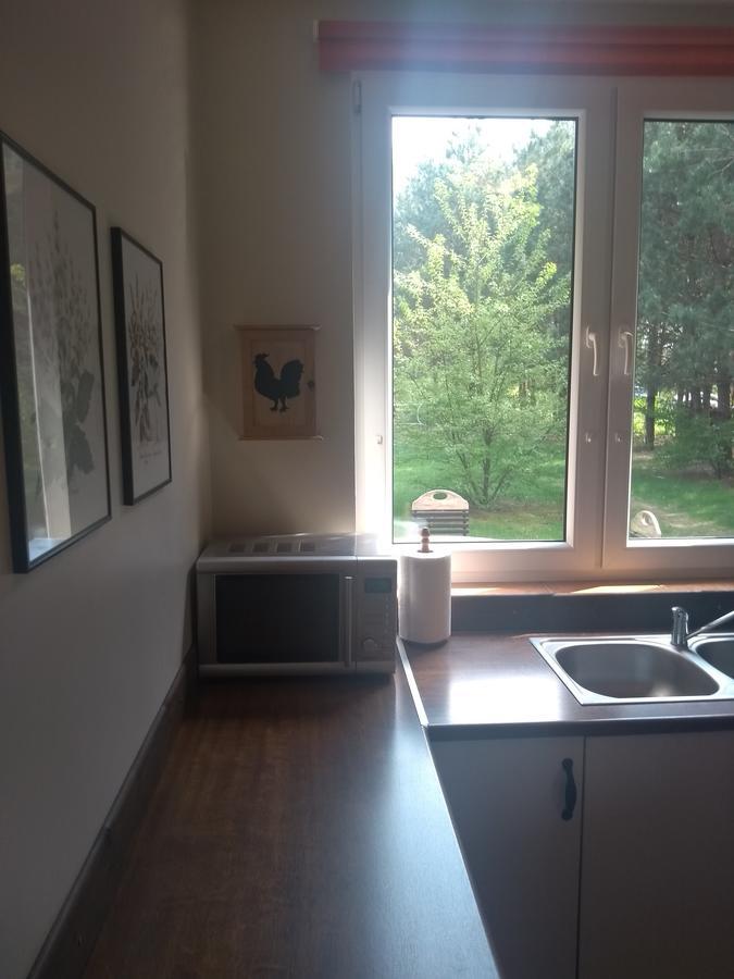 Za Piecem Villa Guzowy Piec Dış mekan fotoğraf